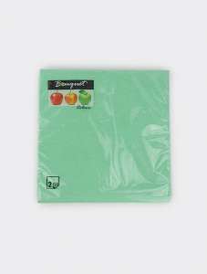 Салфетки Bouquet Colour 33*33 см. 2-сл. 20 л. салатовые  1/12